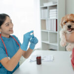 The vet is explaining the medication that dog owners must give their dogs when they return home. A dog owner listens to a veterinarian explain the medicinal properties of a drug used to treat his dog's illness.